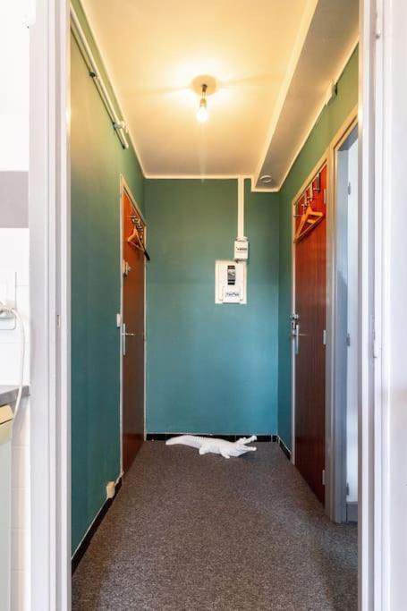 Double Appartement, Saint Michel, Parking, Wifi Toulouse Luaran gambar